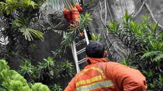 Kebakaran Gedung Utrindo di Jalan Wahid Hasyim, Jakarta Pusat, Jumat (21/2). Diduga kebakaran terjadi karena hubungan arus pendek listrik. [MATAMATA/Adrian Mahakam]