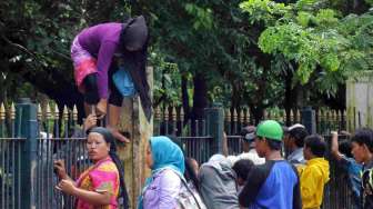 Foto: Razia Pedagang Kaki Lima