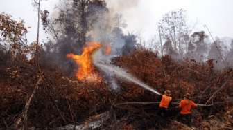 Hutan Riau Terbakar, Kepala BNPB Pertanyakan Kinerja Polisi