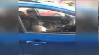 Video: Kesal Tunggu Majikan, Anjing Ini Tekan Klakson Mobil