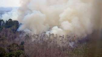 Ribuan Pengungsi Korban Kebakaran Hutan Seram Kelaparan