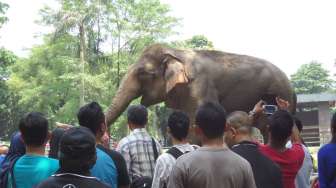 Libur Lebaran, Bonbin Ragunan Masih Jadi Favorit