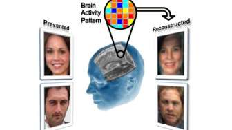 Ilmuwan di AS Bisa Merekonstruksi Wajah dengan Membaca Otak Anda
