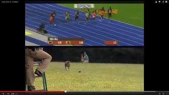 Video: Membandingkan Kecepatan Lari Usain Bolt dengan Cheetah