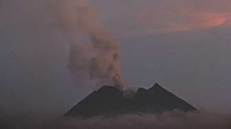 Tiga Elang Jawa Tak Terusik Kebakaran di Merapi dan Merbabu