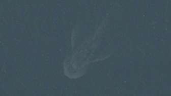 Monster Loch Ness Tampakkan Diri di "Apple Maps"