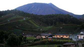 Status Gunung Slamet Kembali Normal