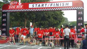 Lomba Lari Bersama Anjing Digelar Hari Ini