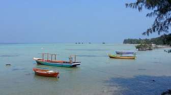 Mulut Penyu Mati Penuh Sampah, DLH Uji Sampel Air Pulau Pari