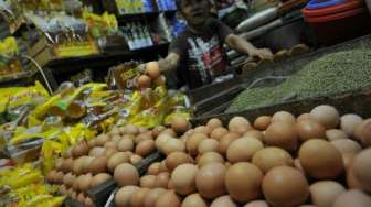 Harga Telur Ayam di Manokwari Rp5.000 per Butir