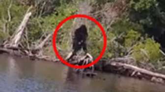 Lelaki Ini Klaim Miliki Foto "Bigfoot" Terjelas