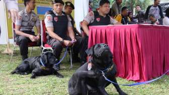 TPS Prabowo Juga Dijaga Dua Anjing Labrador