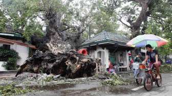 Korban Topan Rammasun Bertambah, 7.000 Rumah Hancur