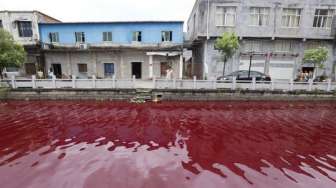 Sungai Ini Berubah Warna Menjadi Merah Darah