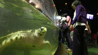Pengunjung memadati tempat wisata biota laut Seaworld Ancol Jakarta, Senin (28/07). Usai menjalankan ibadah di bulan suci Ramadhan, warga Jakarta menjadikan seaworld ancol sebagai tempat berlebaran bersama keluarga. (Suara.com/Kurniawan Mas'ud)