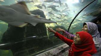 Asyiknya Lebaran di Ancol
