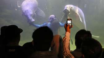 Pengunjung memadati tempat wisata biota laut Seaworld Ancol Jakarta, Senin (28/07). Usai menjalankan ibadah di bulan suci Ramadhan, warga Jakarta menjadikan seaworld ancol sebagai tempat berlebaran bersama keluarga. (Suara.com/Kurniawan Mas'ud)