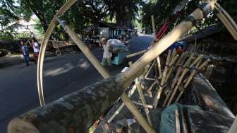 Penjual pohon Pinang di kawasan Manggarai, Jakarta, Kamis (7/8). [suara.com/Kurniawan Mas'ud]