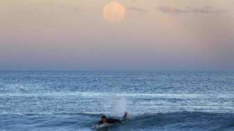 Fenomena alam supermoon muncul di wilayah Sydney, Australia, Minggu (10/8). [Reuters/Jason Reed]