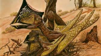 Kuburan Massal Dinosaurus Terbang Ditemukan di Brasil