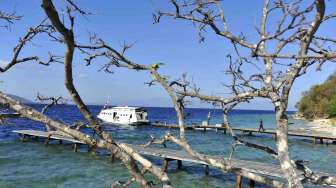 Foto: Taman Laut Pulau Moyo