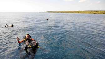 Kawasan Taman Wisata Alam Laut Pulau Moyo, Kecamatan Labuhan Badas, Kabupaten Sumbawa, Provinsi Nusa Tenggara Barat, Senin (25/8). [Antara/Andika Wahyu]