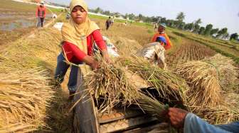 Mendag: SRG Perkuat Ketahanan Pangan dan Sejahterakan Petani