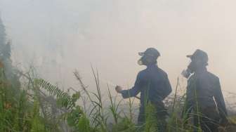 Kabut Asap Kian Pekat, Motoris Kelotok Tak Berani "Ngebut"