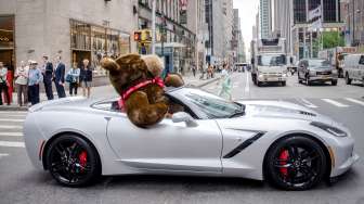 Menggemaskan, Ada Teddy Bear Raksasa Jalan-jalan Naik Corvette!