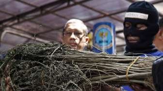 Badan Narkotika Nasional (BNN) memusnahkan barang bukti Narkotika yang ke-21 kalinya yakni sabu seberat 222,5 gram di Kantor BNN Jakarta, Selasa (16/9). [suara.com/Kurniawan Mas'ud]