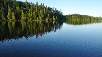 Danau Maninjau Tercemar Berat