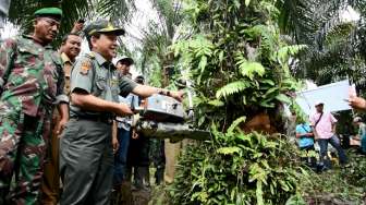 Cegah Bencana Ekologi, Sawit Ilegal di Hutan Lindung Dimusnahkan