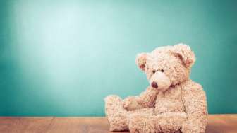 Ojol Bawa Boneka Teddy Bear untuk Hari Valentine Viral, Bikin Gemas Netizen