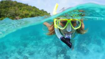 Diserang 3 Ekor Hiu, Gadis Remaja Tewas saat Snorkeling di Bahama