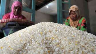 Foto: Beras Jagung Instan