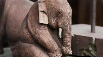 Bayi Gajah Tercebur Sumur Saat Diusir Warga, Aksi Penyelamatannya Rumit