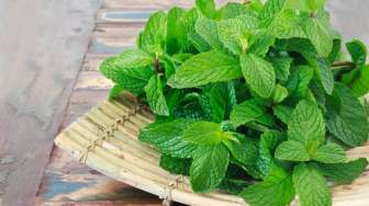 5 Manfaat Daun Mint bagi Kesehatan Tubuh