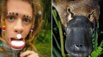 VIDEO: Lelaki Ini Ubah Wajahnya Mirip Platypus