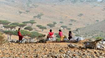 Socotra, Dunia yang Hilang di Yaman