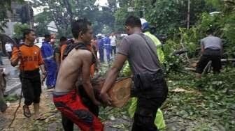 Pohon Tumbang Timpa Empat Mobil di Bandung