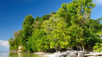 Pulau-pulau Terpencil Ini Digandrungi Wisman