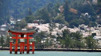 'Mencicipi' Sedapnya Laut dan Gunung Hiroshima