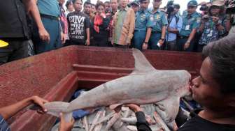 KAA Punya Tantangan Bersama di Sektor Perikanan