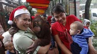 Liburan di Taman Taman Safari