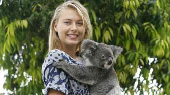 Maria Sharapova dan Koala