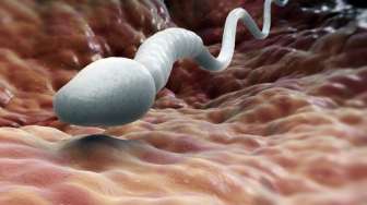 Fakta Sperma dan Air Mani, dari Kandungan Nutrisi hingga Ketahanan di Luar Vagina