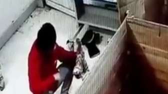 VIDEO: Parah, Petugas Kebun Binatang Siksa Anak Harimau
