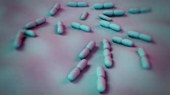 CDC Temukan Bakteri Penyebab Penyakit Langka di Teluk Mississippi, Kenali Tanda-Tanda Infeksinya