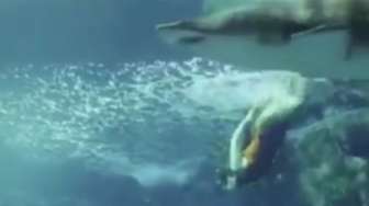 VIDEO: Wow, Rihanna Berenang di antara Hiu Buas