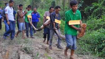 Rekonstruksi Pembantaian Gajah